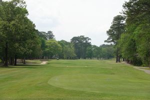 Wachesaw Plantation 8th